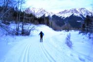 河南旅游市場運營：發展冰雪旅游 讓冰天雪地變成金山銀山